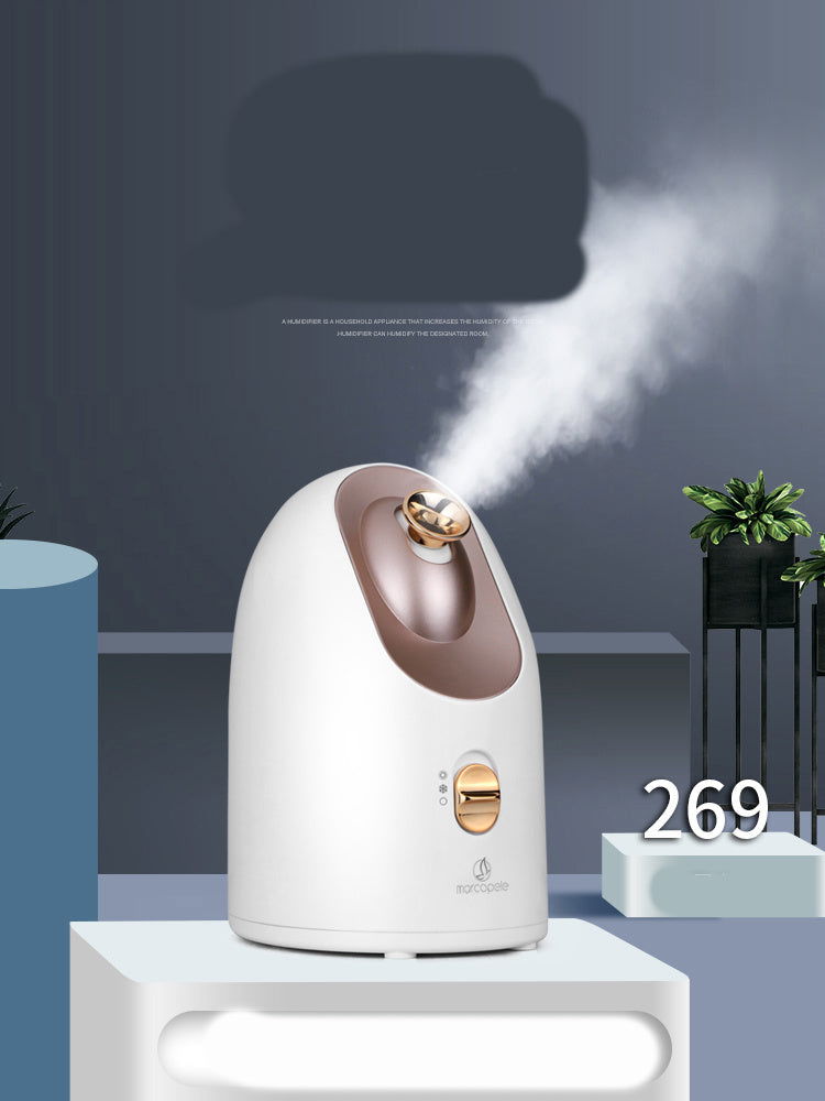 Hot and cold face steamer - AltUNique Store